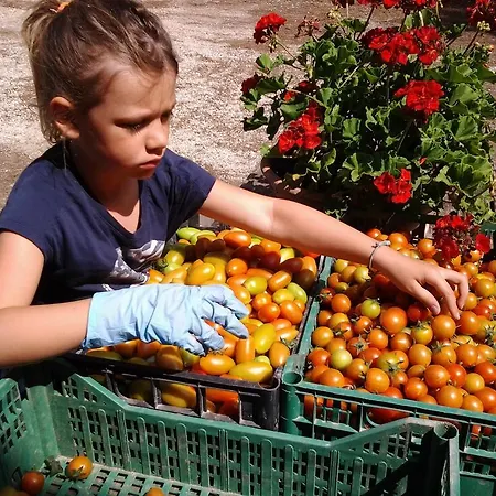 Agriresidence San Pietro *