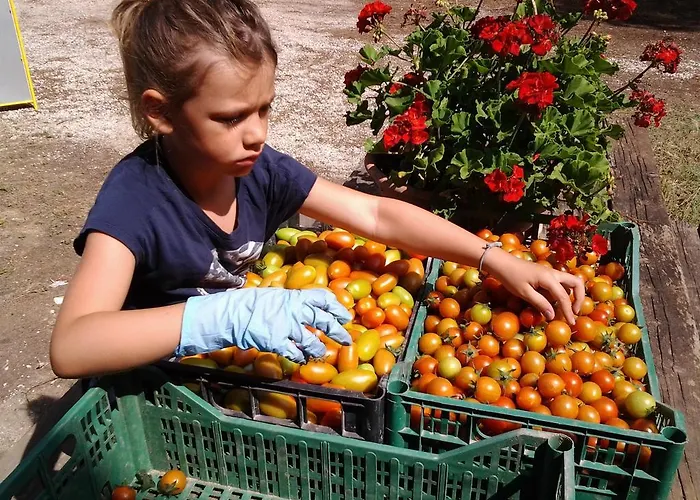 Agriresidence San Pietro *